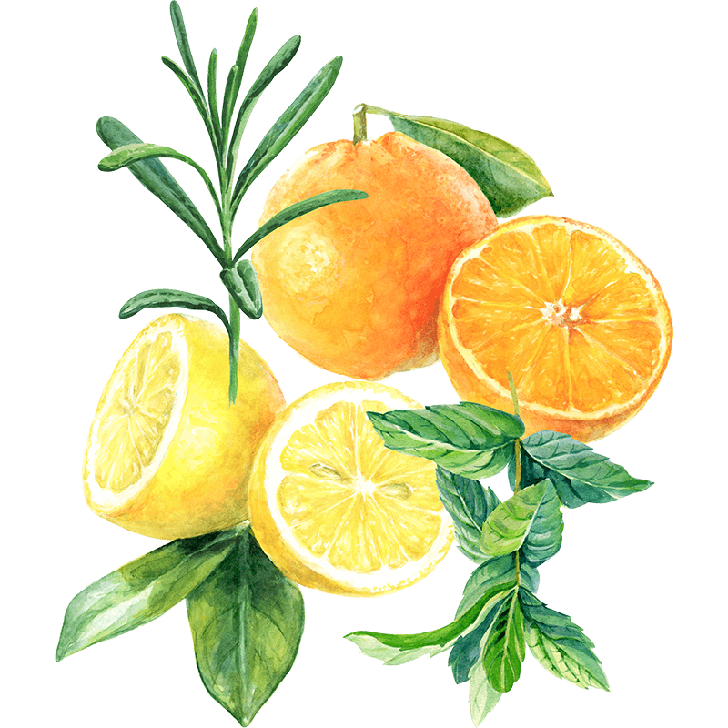 Orange, Lemon, Rosemary & Mint